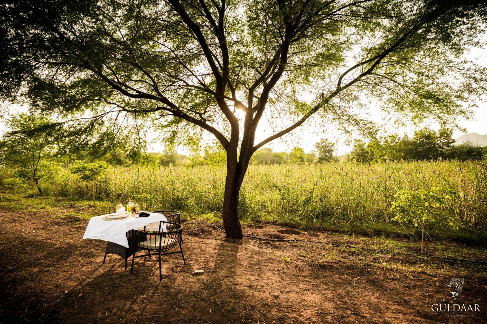 Guldaar Sariska - A Luxury Forest Resort Tehla Extérieur photo