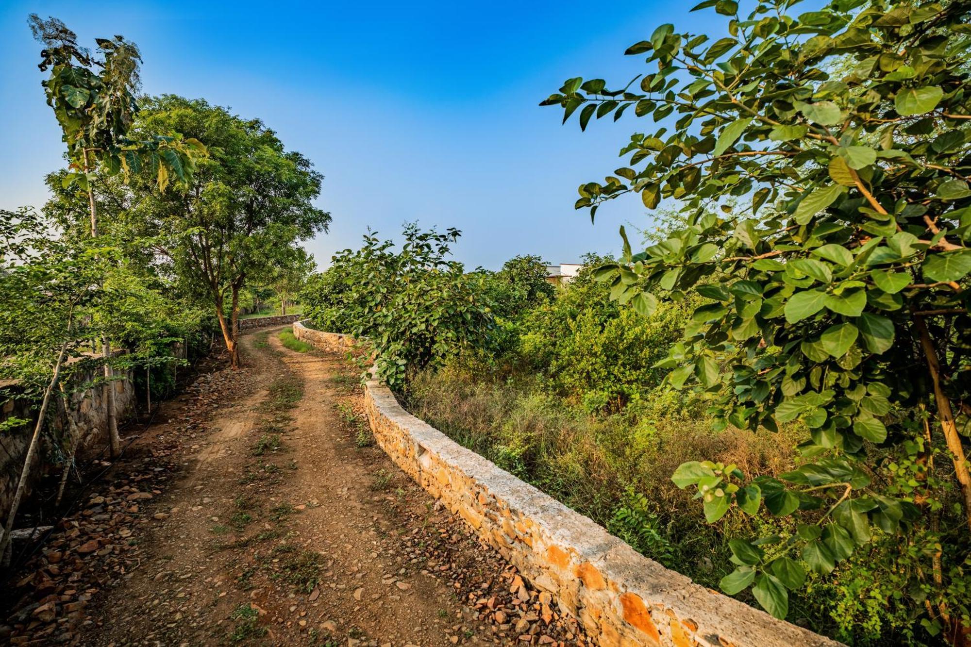 Guldaar Sariska - A Luxury Forest Resort Tehla Extérieur photo
