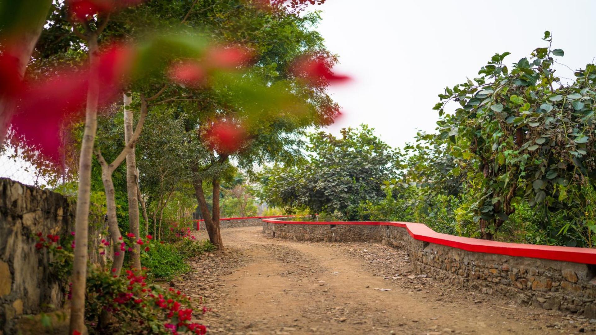 Guldaar Sariska - A Luxury Forest Resort Tehla Extérieur photo